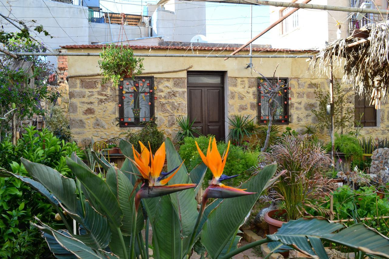 Mystery Garden *